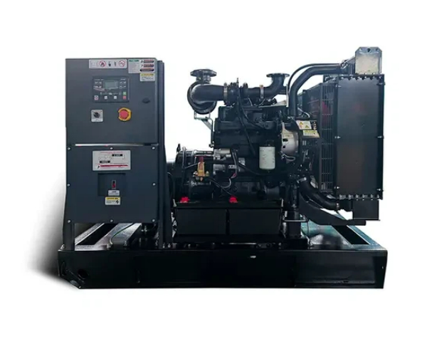 Diesel Generator Set (2).jpg